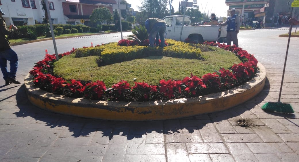 El municipio se llena de color con flores de Nochebuena