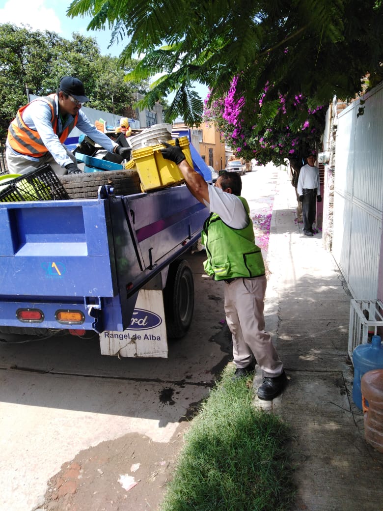 Realizan jornada de limpieza en Río Silao y Reforestan Distribuidor Via