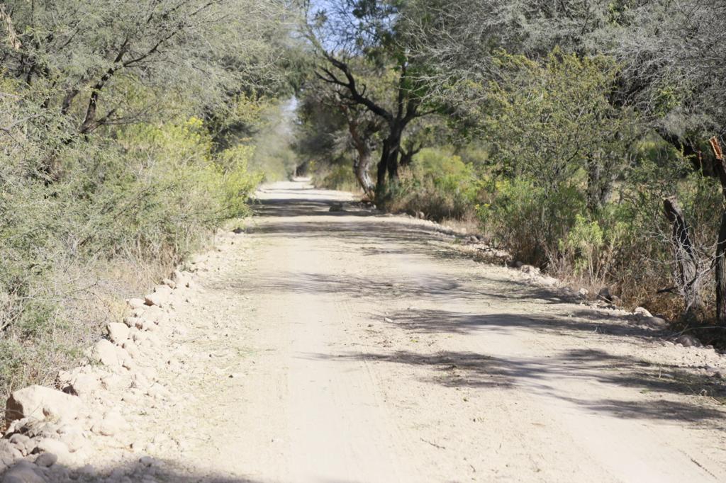 Rehabilita Gobierno Municipal 50 kilómetros de caminos