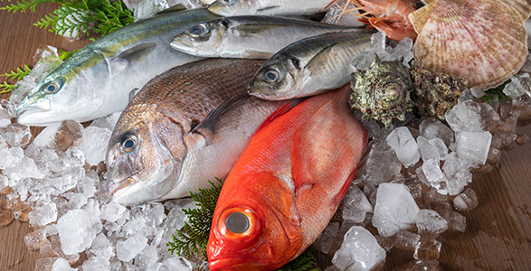 Emiten recomendaciones para disminuir riesgos sanitarios por consumo de productos de mar 